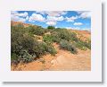 11WahweapHangingGardens 042